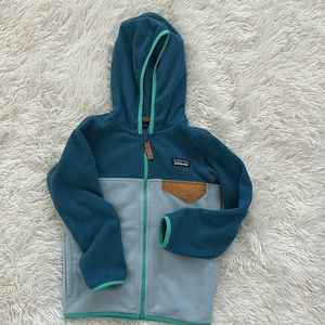 Boys 4t Micro-D snap Patagonia fleece